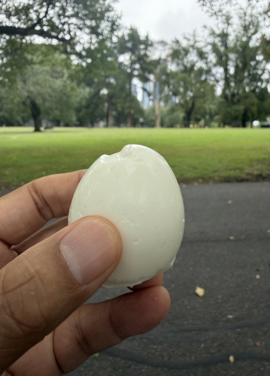 Austeslam (오즈) tweet media