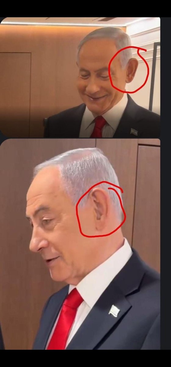 Chief Piggum tweet media