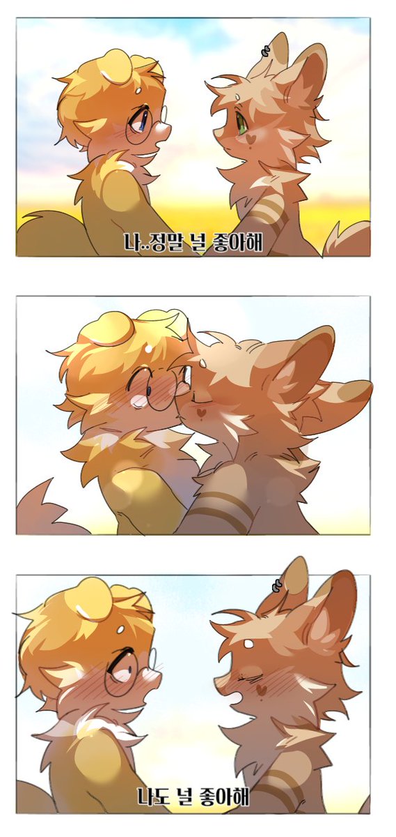 보노보노🐶 tweet media