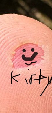 Ryder ・ライダー🇺🇸🇯🇵🇺🇦🇹🇼 tweet media