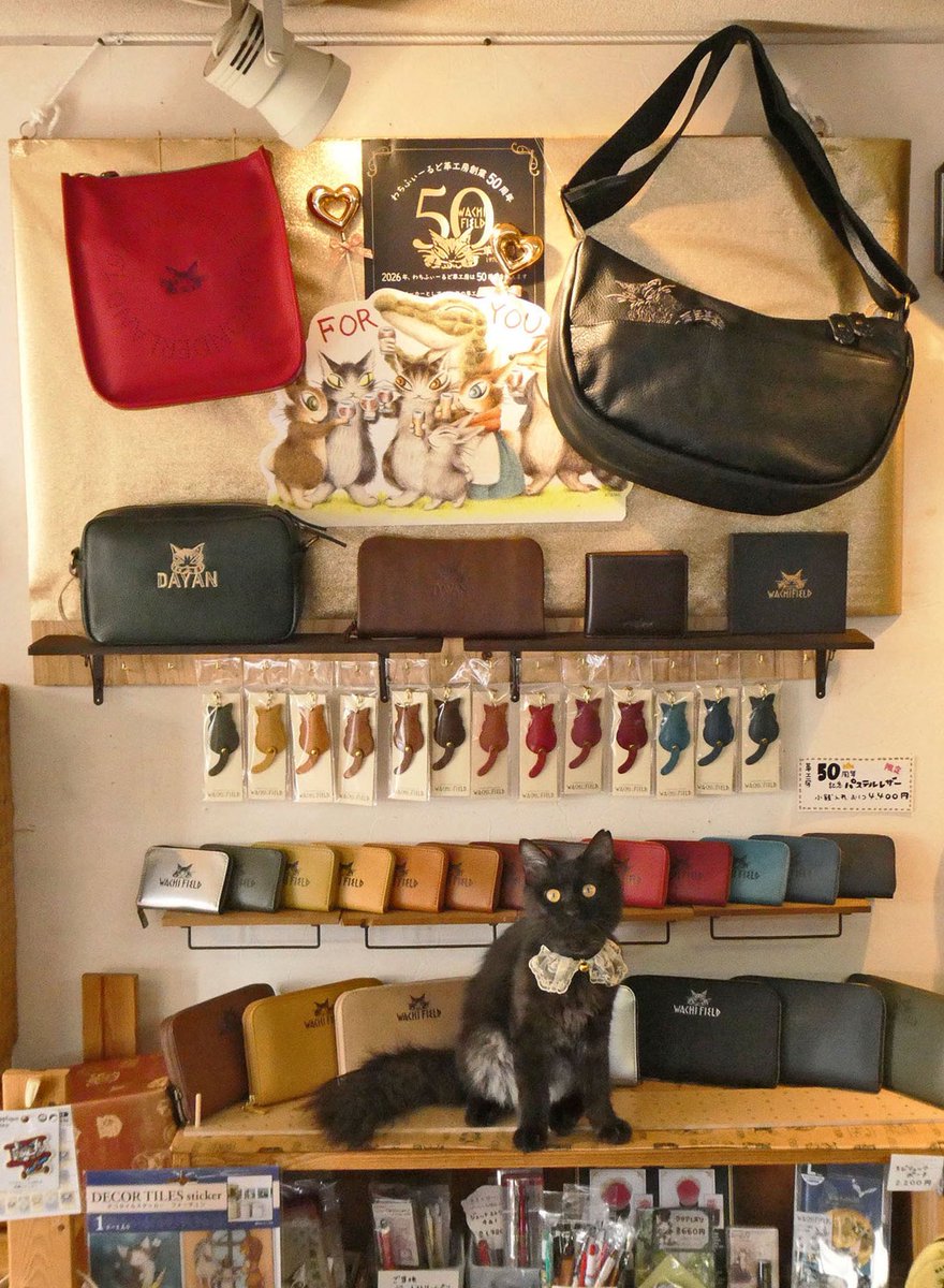 株式会社わちふぃーるど tweet media