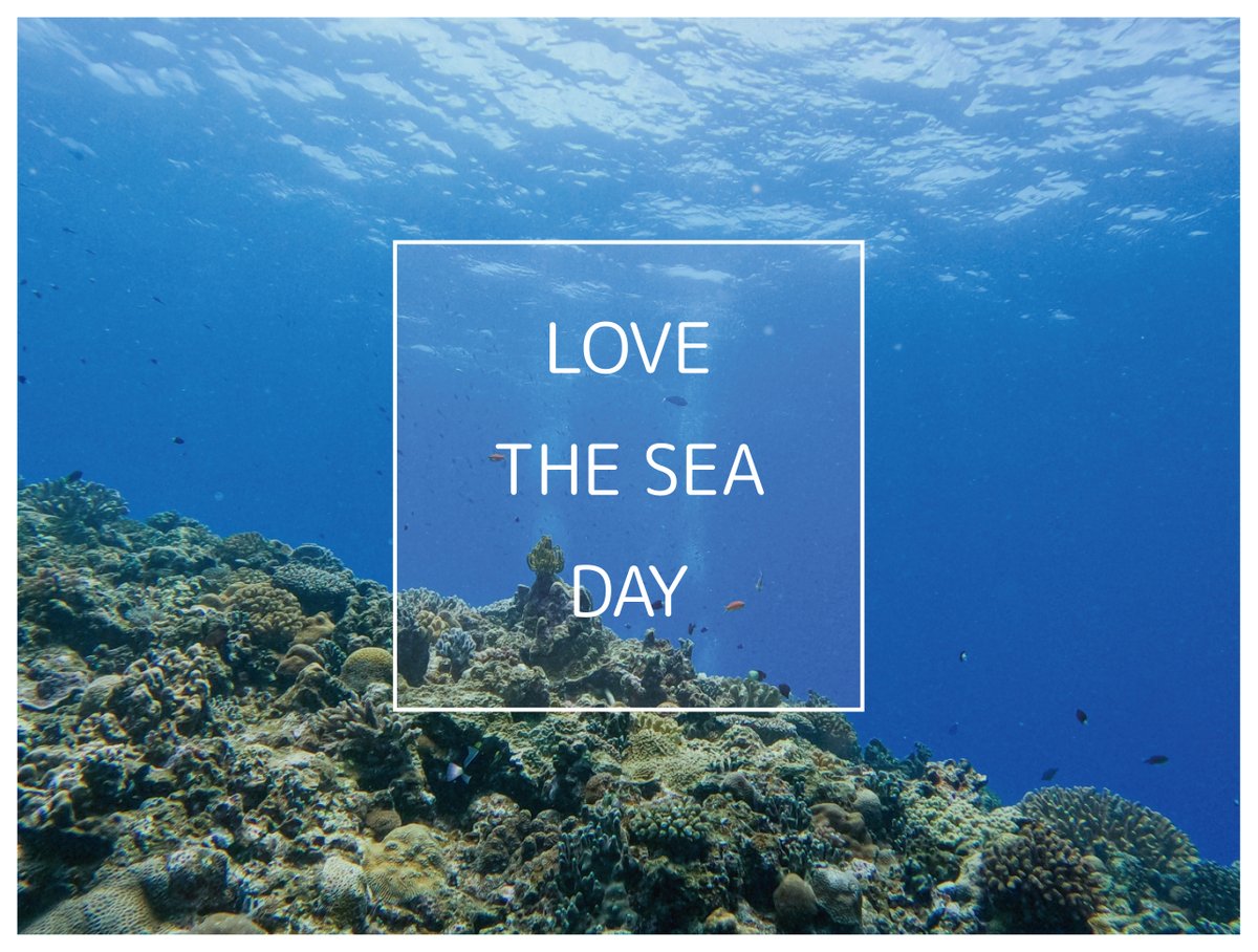 横浜FC【公式】 tweet media