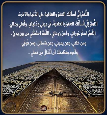 اميرة المنيع 🪴 tweet media