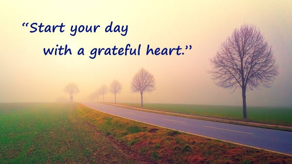 The Mindfulness Meditation Institute tweet media