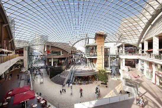 raen ✪ 🐾 tweet media