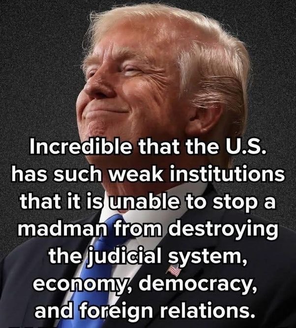 Lone Wanderer tweet media