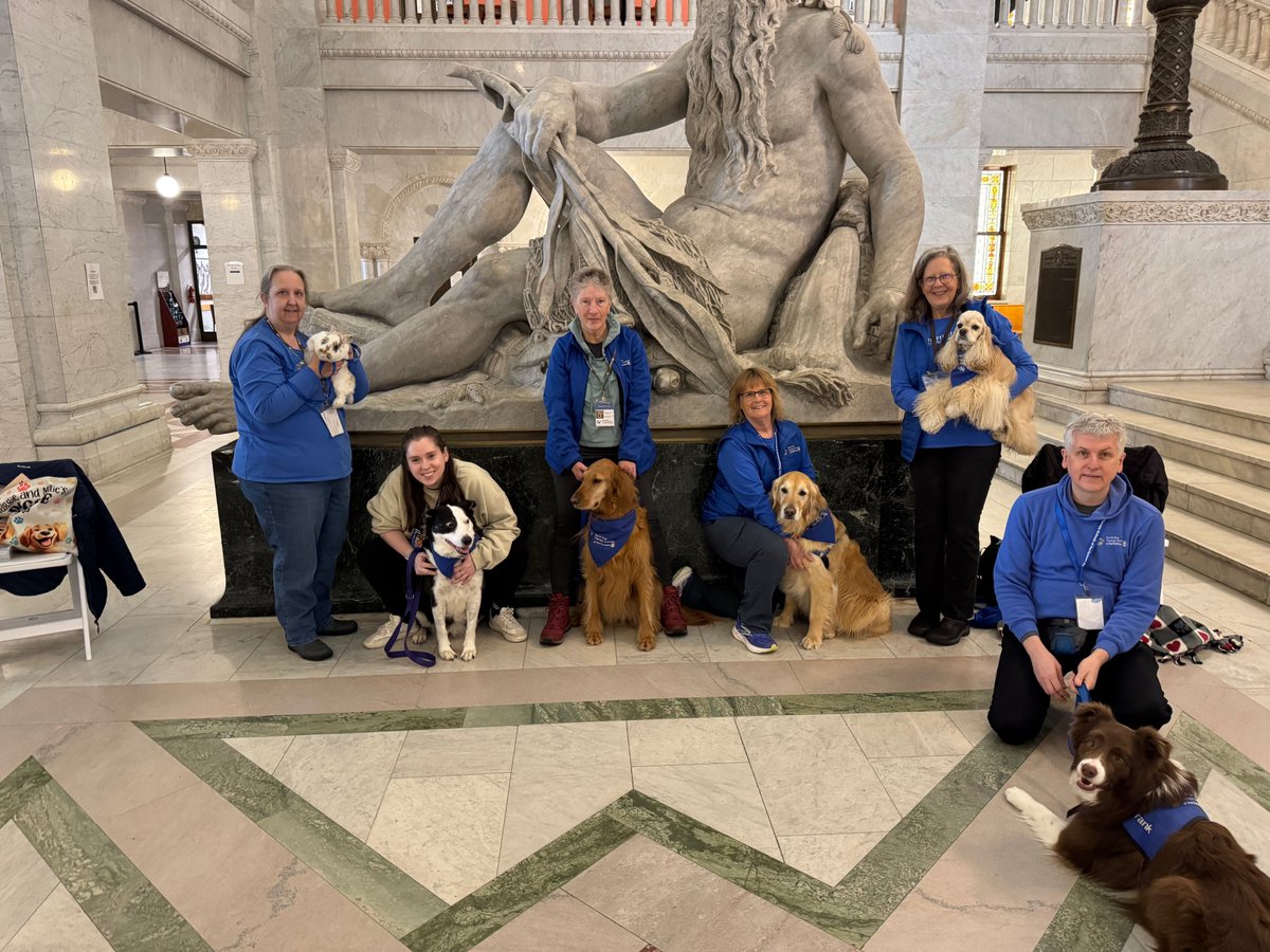 North Star Therapy Animals of Pet Partners tweet media