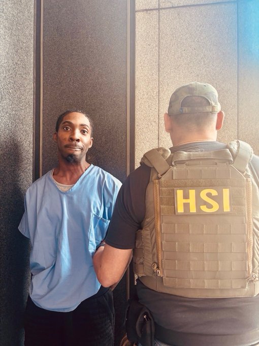 U.S. Immigration and Customs Enforcement tweet media