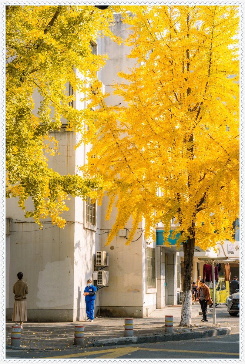 WaterGurl tweet media