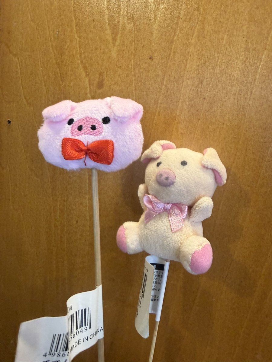 akietaam's tweet photo. 辛いな。またこのピックを使ってアレンジメント。いつかわたしも経験することだけど早すぎるよ🥺 #マイクロブタ #お供えアレンジメント https://t.co/oeb4bdp7H4