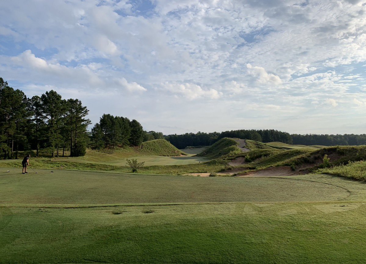 Phillip Reed tweet media