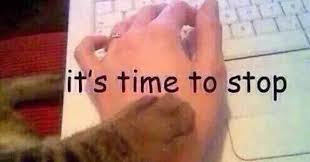 Diego Lindner tweet media