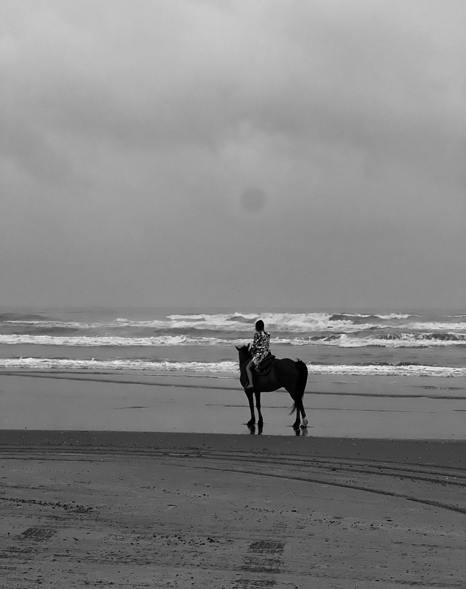 AltMom 👑🌹 1st Rose on the Moon 🌙 tweet media