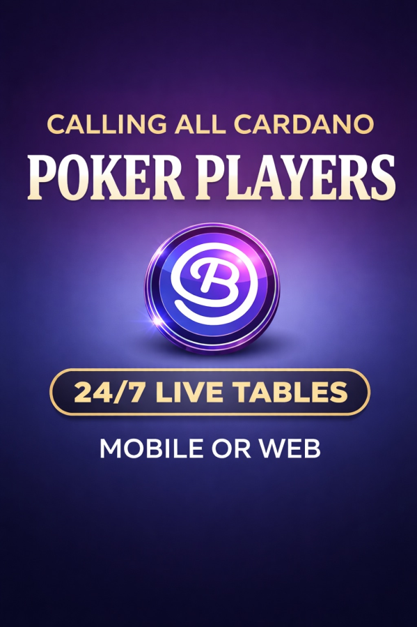 $BetFi Casino tweet media