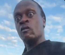 Lost Signal tweet media