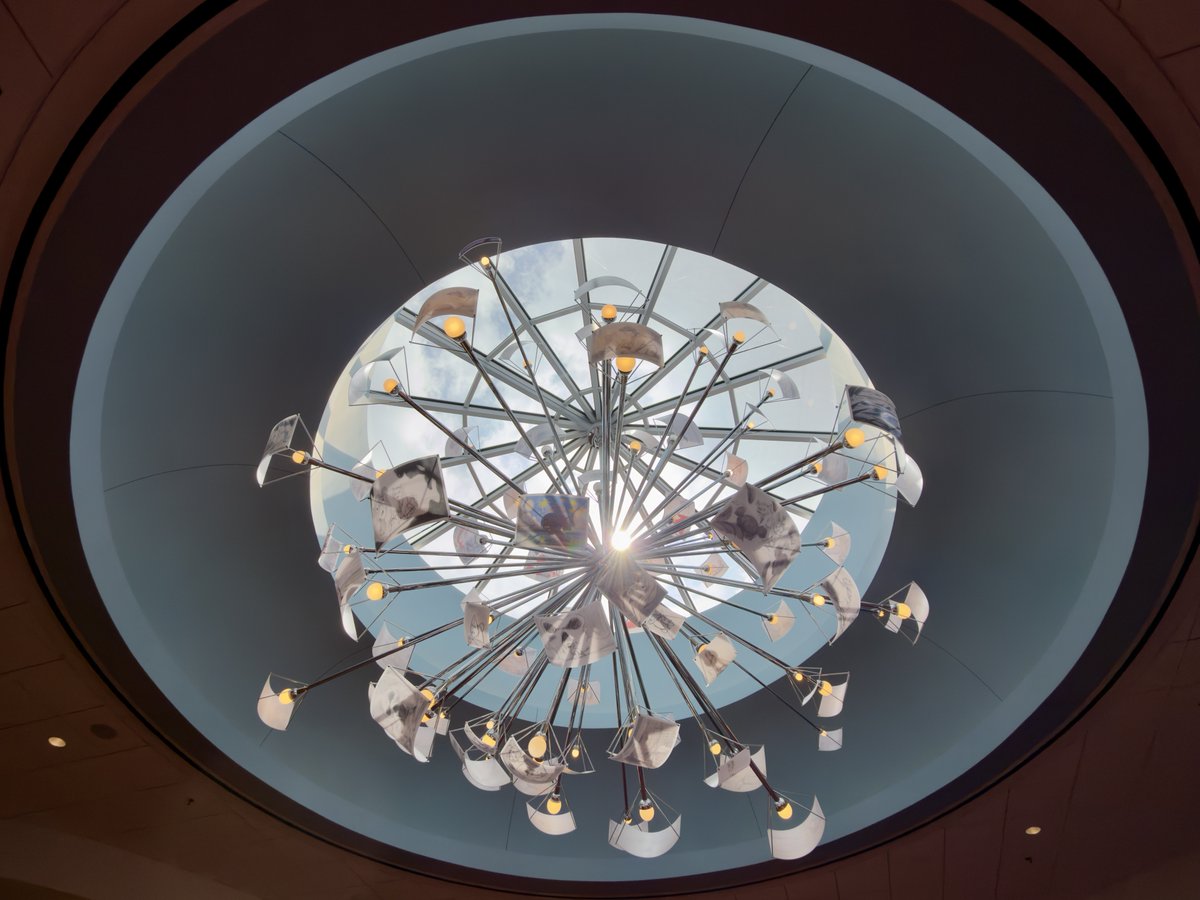 Mariann Bell tweet media