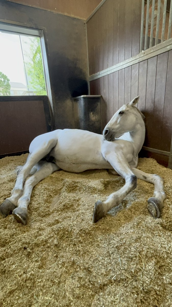 警視庁広報課 tweet media