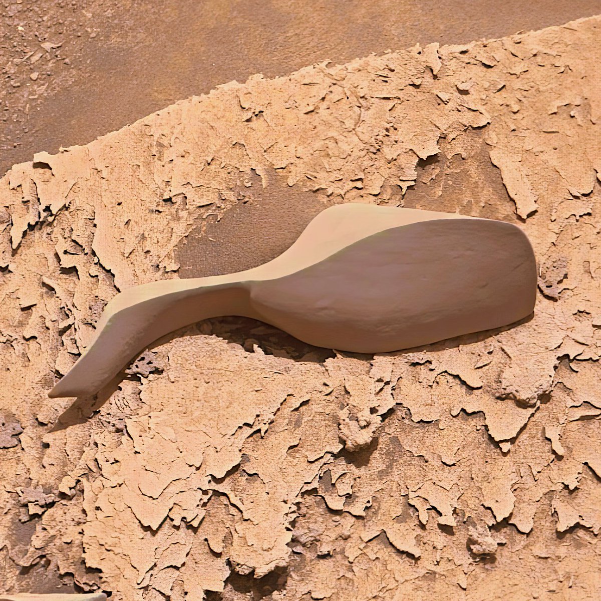 Night Sky Now tweet media