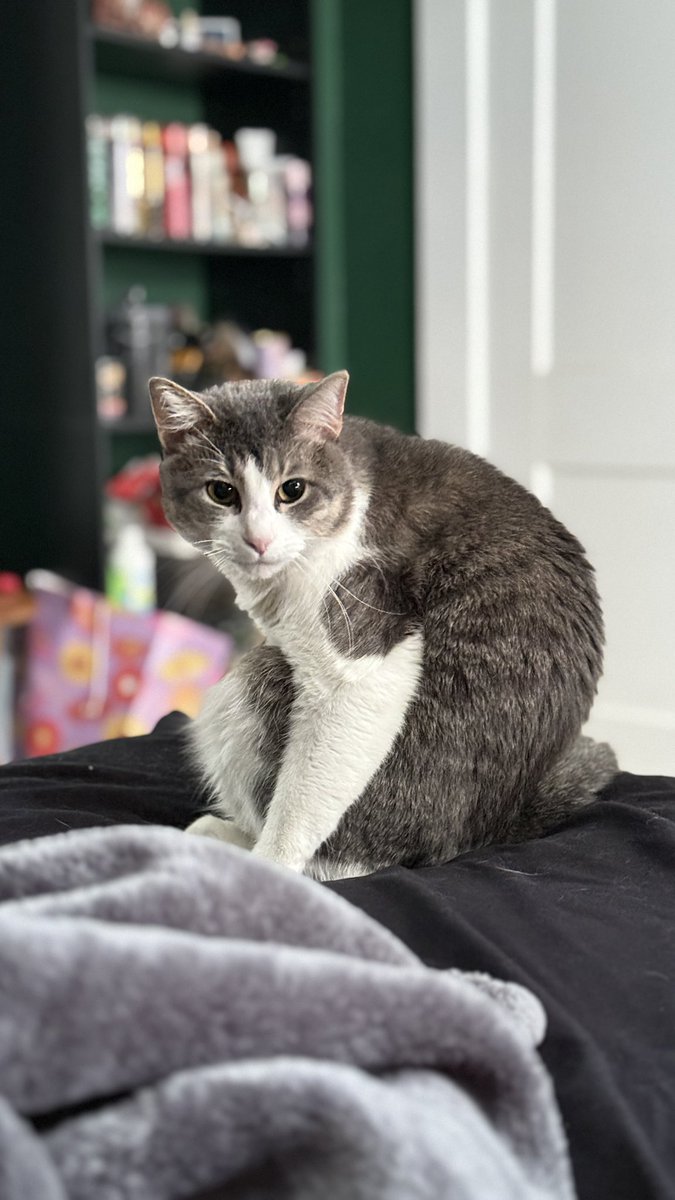 Chance :) tweet media