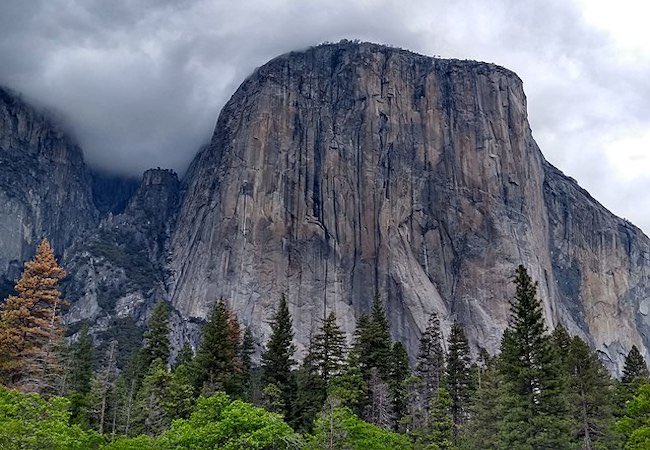 Austin Ryder tweet media