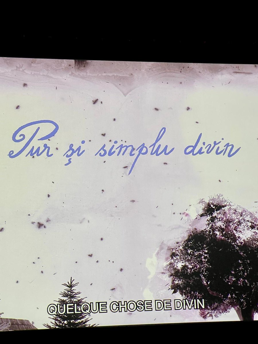 Embassy of Romania in Japan tweet media