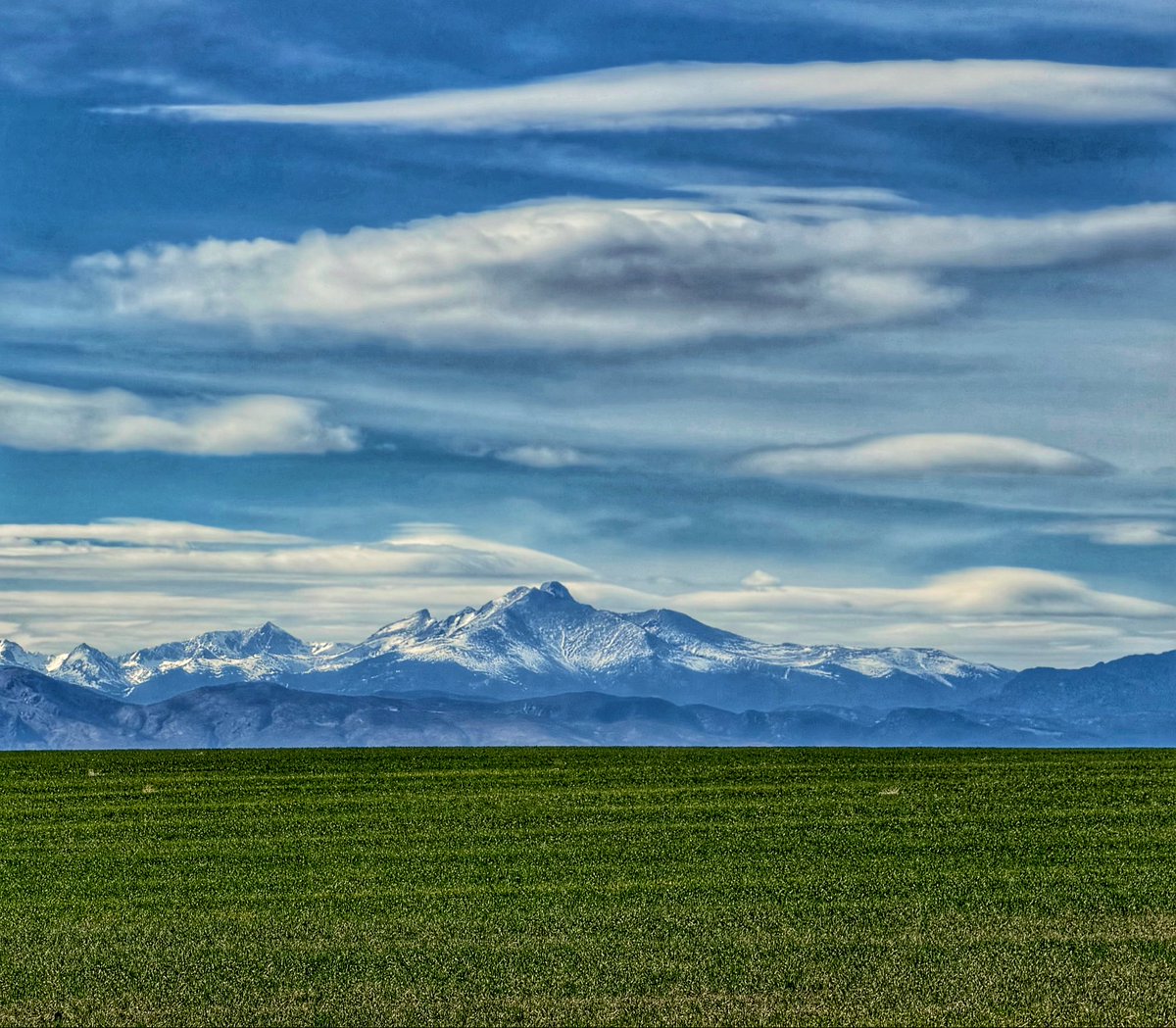 D Miller tweet media