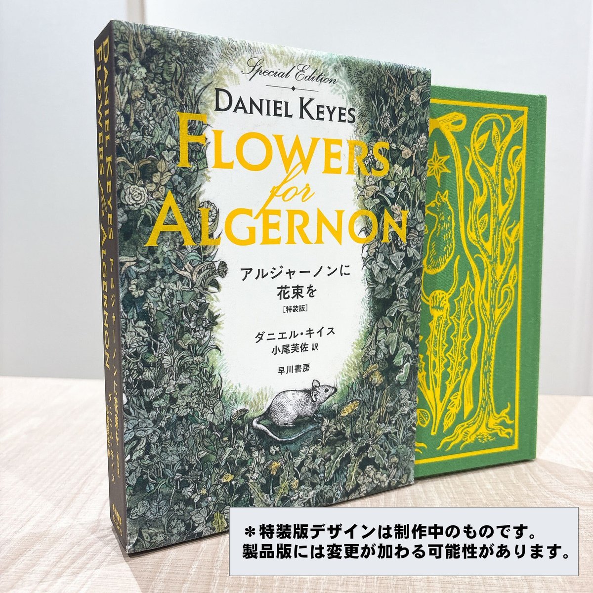【情報解禁🐁💐】『アルジャーノンに花束を』を、装画＝ヒグチユウコ氏、装幀＝名久井直子氏による「新装版」「特装版」のふたつの判型で刊行いたします！