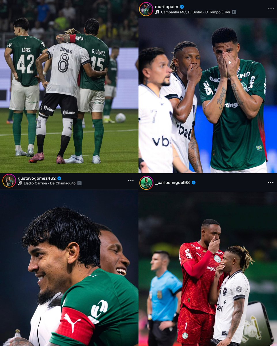 Gustavo Terini tweet media