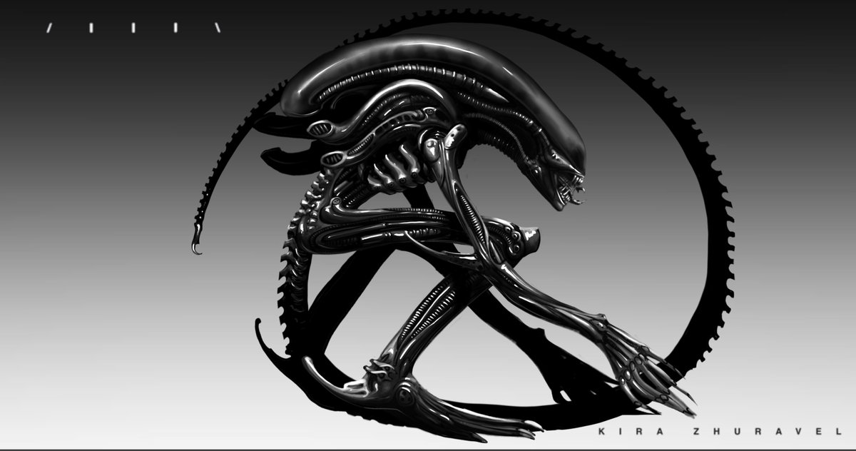 Kira Zhuravel 🇺🇦 tweet media