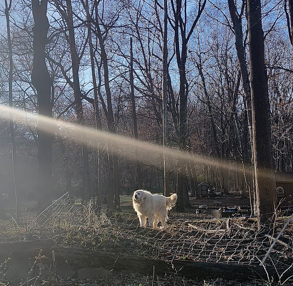 John P. Flannery tweet media