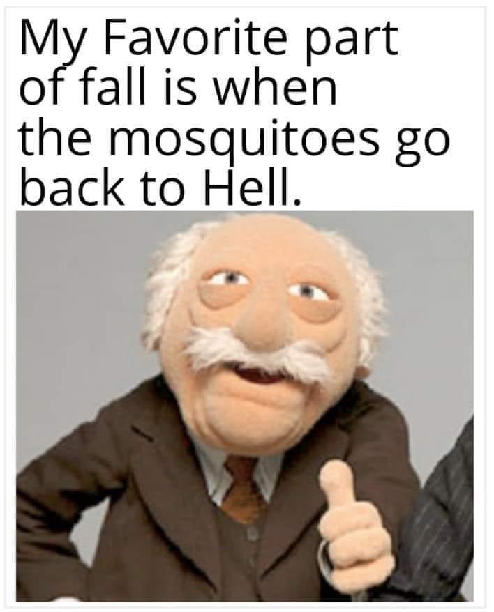 Spill The Memes tweet media