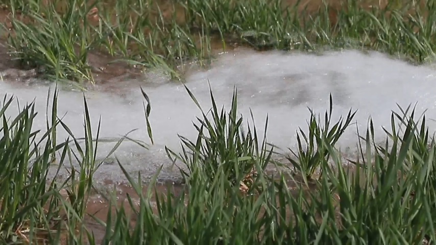 Thisisweinan's tweet photo. Chengcheng, Shaanxi | Small Wells, Big Impact ๐ง๐พ
Spring farming begins, and local wells now provide cheaper, reliable water. Farmers save costs, crops grow better, and communities thrive. Small wells, big difference!#ChinaAgriculture #RuralReform #FoodSecurity #SpringFarming https://t.co/ldY3ezWdgo