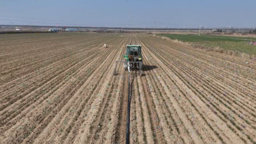 Thisisweinan's tweet photo. Chengcheng, Shaanxi | Small Wells, Big Impact ๐ง๐พ
Spring farming begins, and local wells now provide cheaper, reliable water. Farmers save costs, crops grow better, and communities thrive. Small wells, big difference!#ChinaAgriculture #RuralReform #FoodSecurity #SpringFarming https://t.co/ldY3ezWdgo