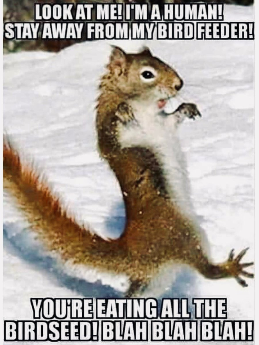 Spill The Memes tweet media