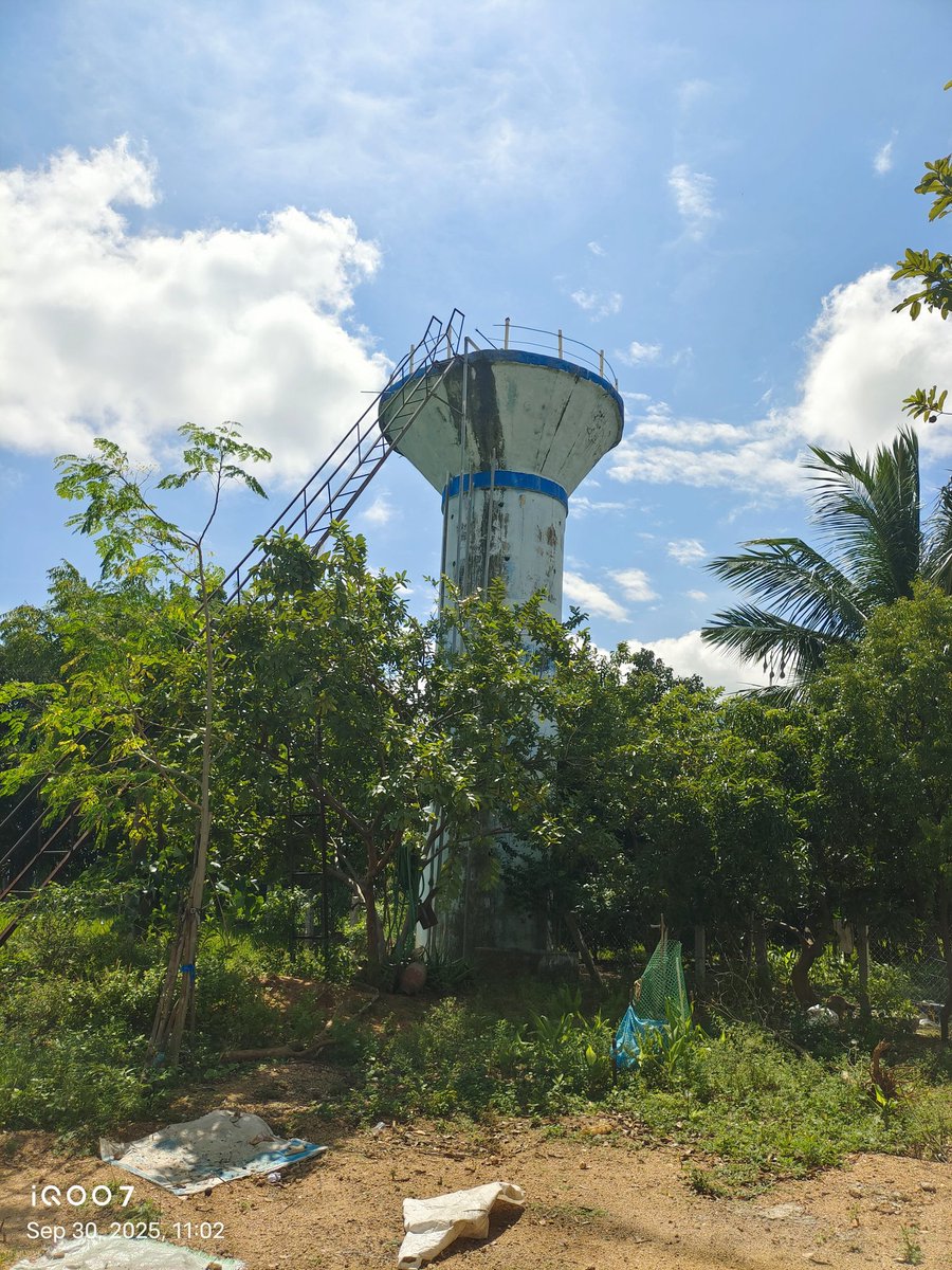 Gugulothu Srinivas Advocate tweet media