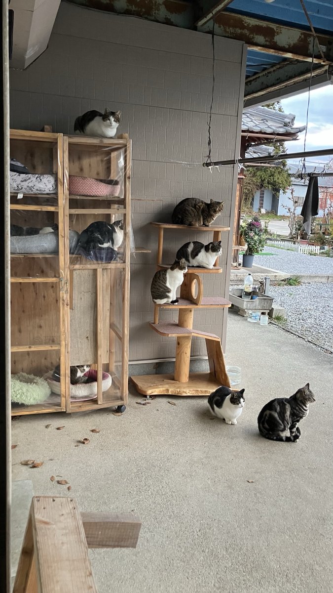 ダイナム滋賀湖北店〜Since2004.10.06〜 tweet media