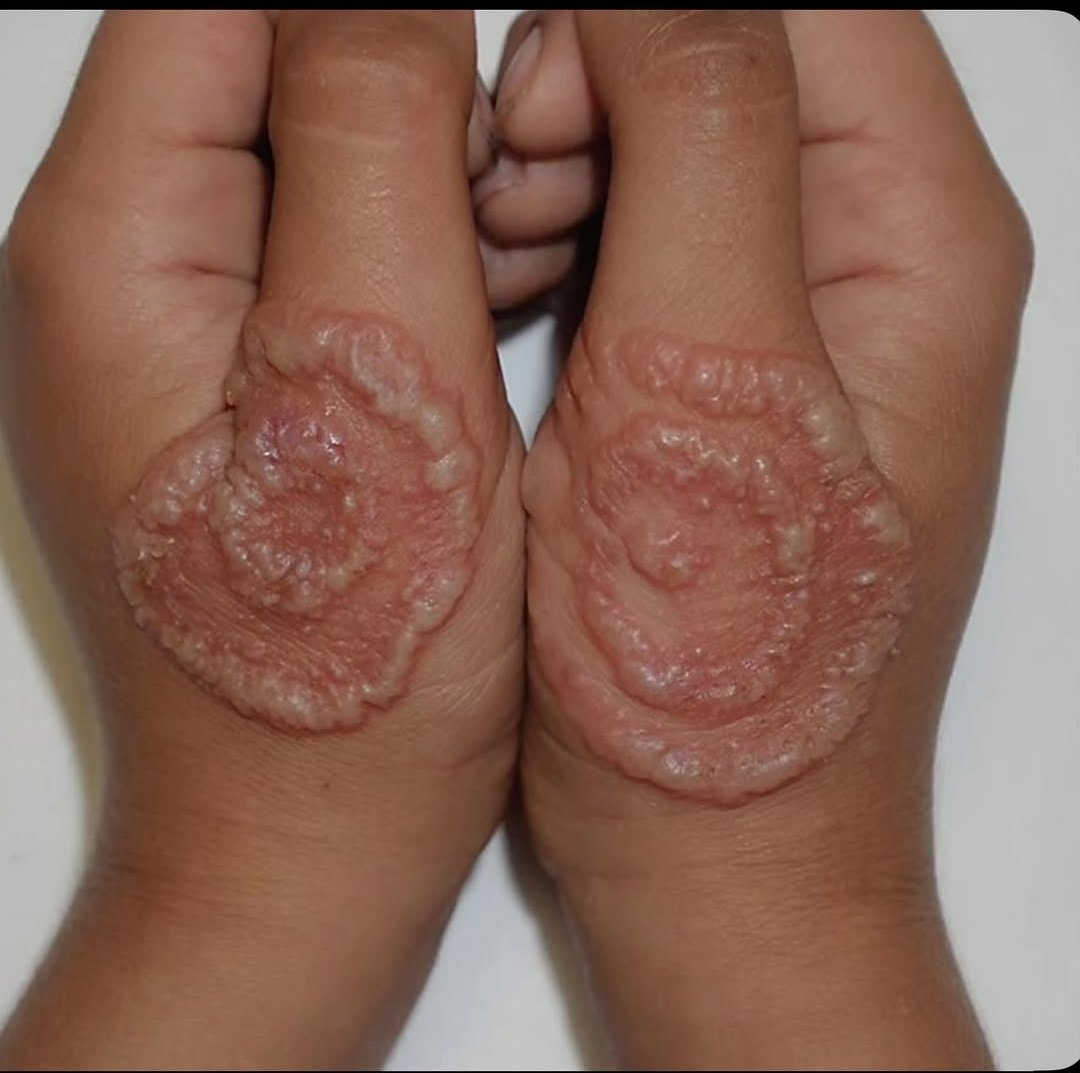 Modern Health tweet media