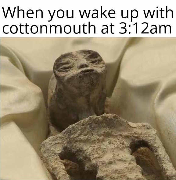 Blue Ridge Genetics tweet media