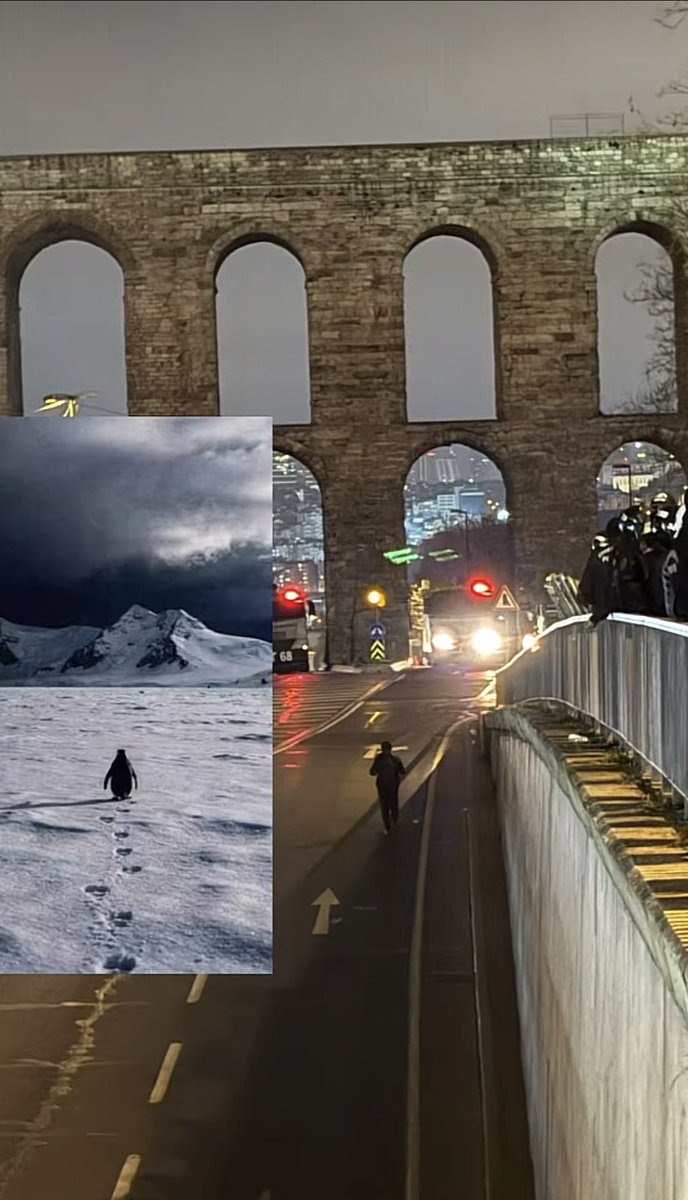 Judi Kılıçbileyen tweet media