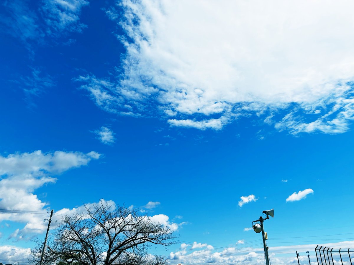 anis-molda tweet media