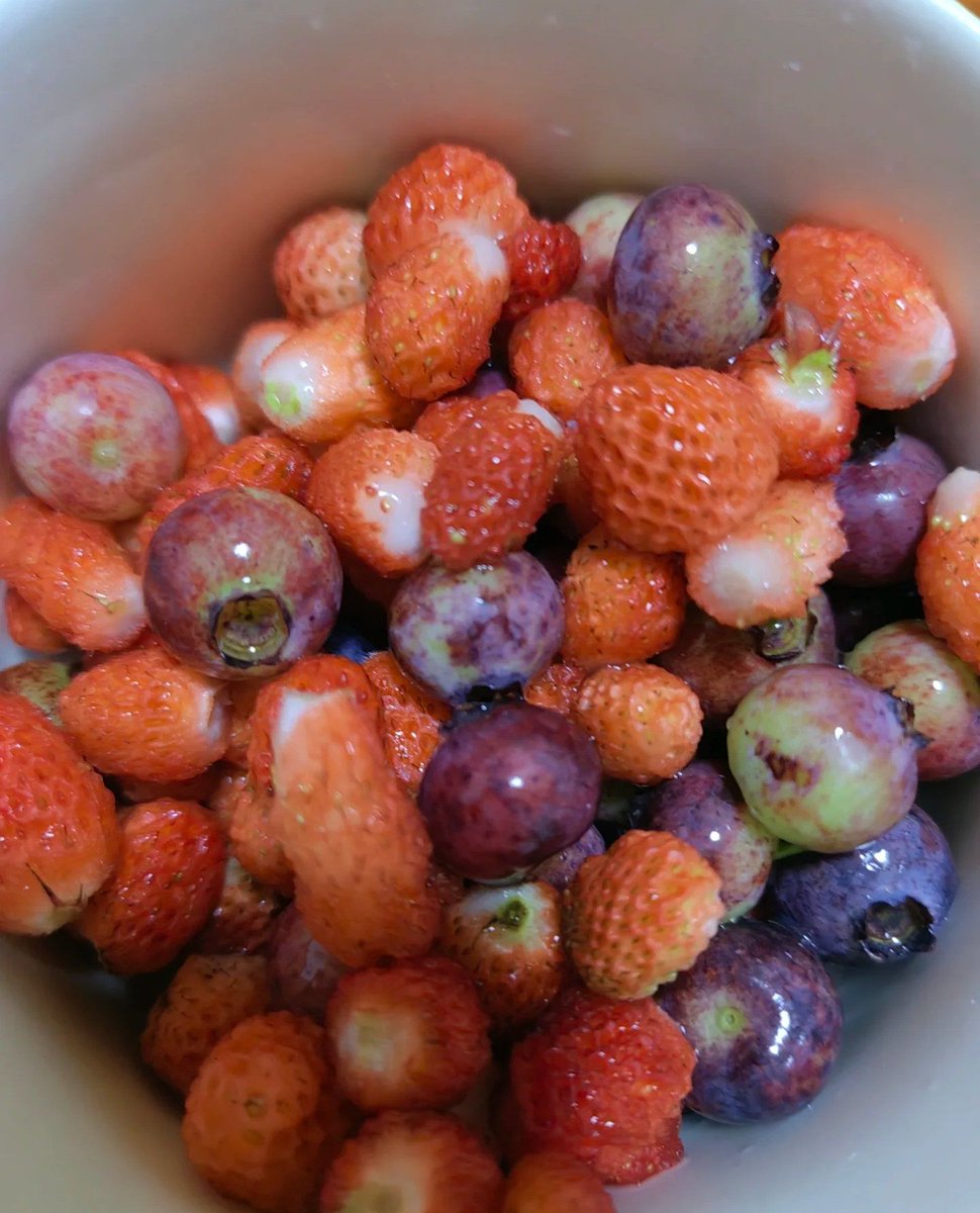 kahmen Akira tweet media