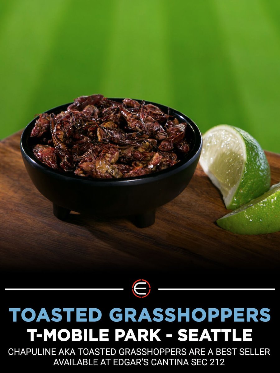 Steven Breech tweet media