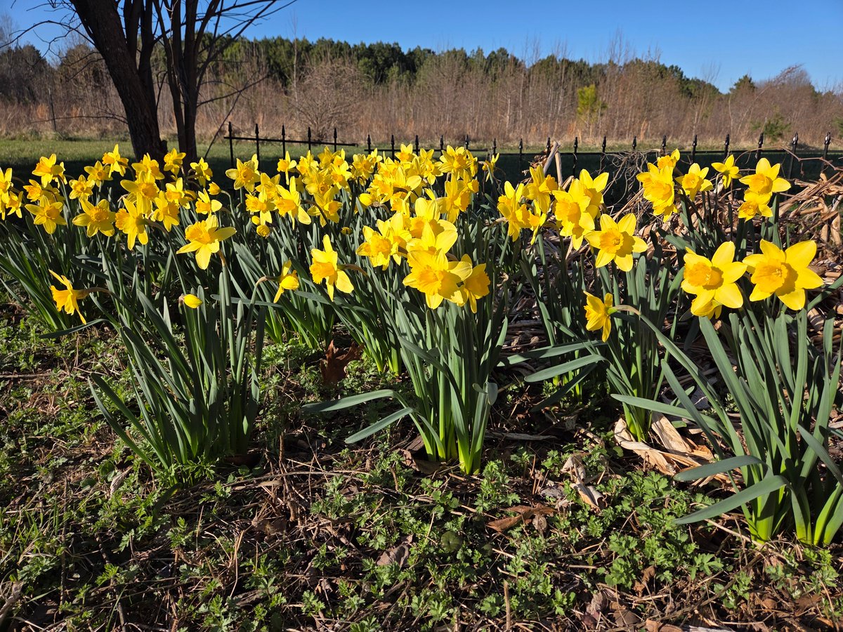 Observationist Dave tweet media