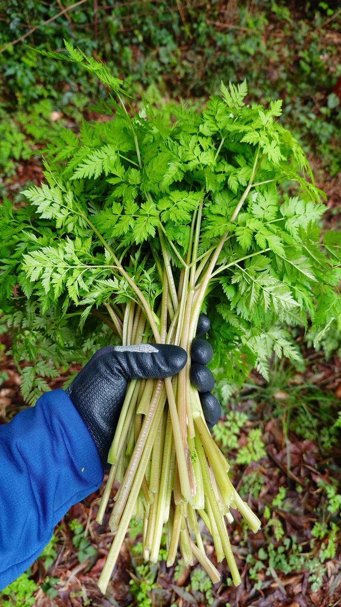 OKUI JUN tweet media