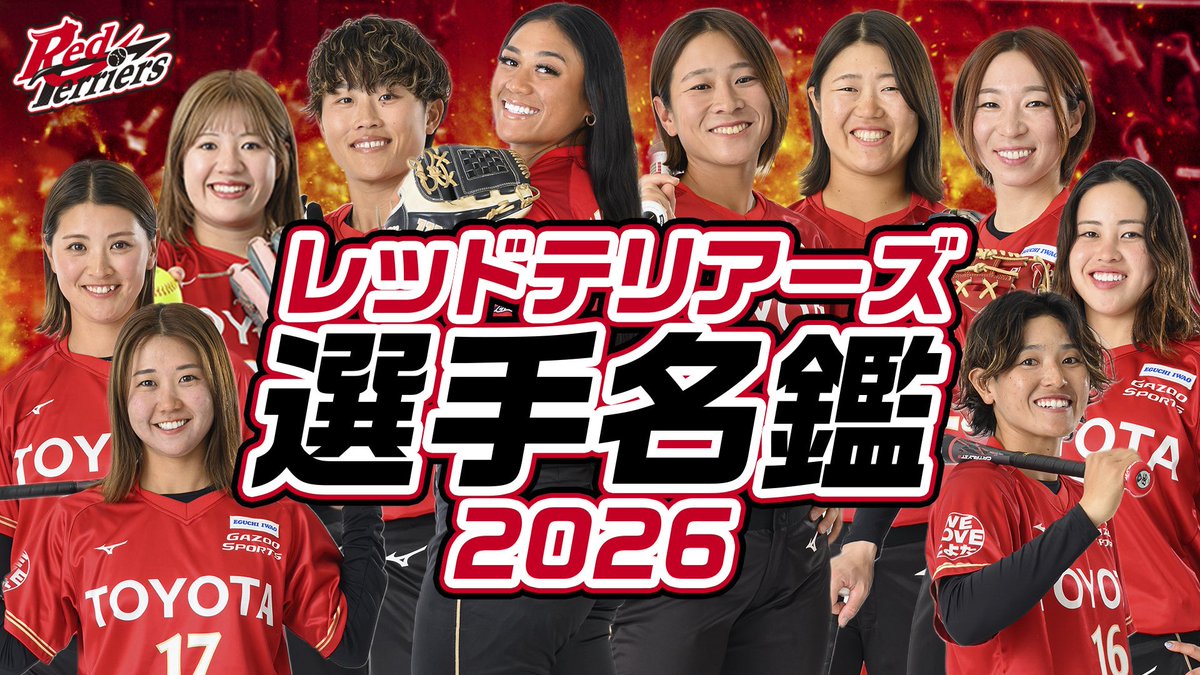 【公式】トヨタレッドテリアーズ🐶🥎 tweet media