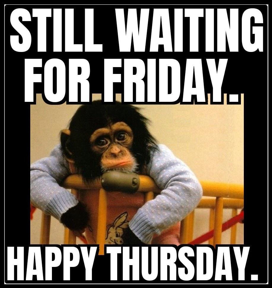 Elena 🇺🇸 tweet media