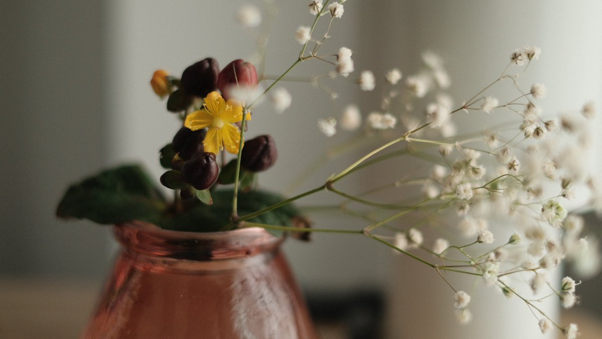 おちゃう@小説15巻2/20発売・漫画全5巻発売中 tweet media