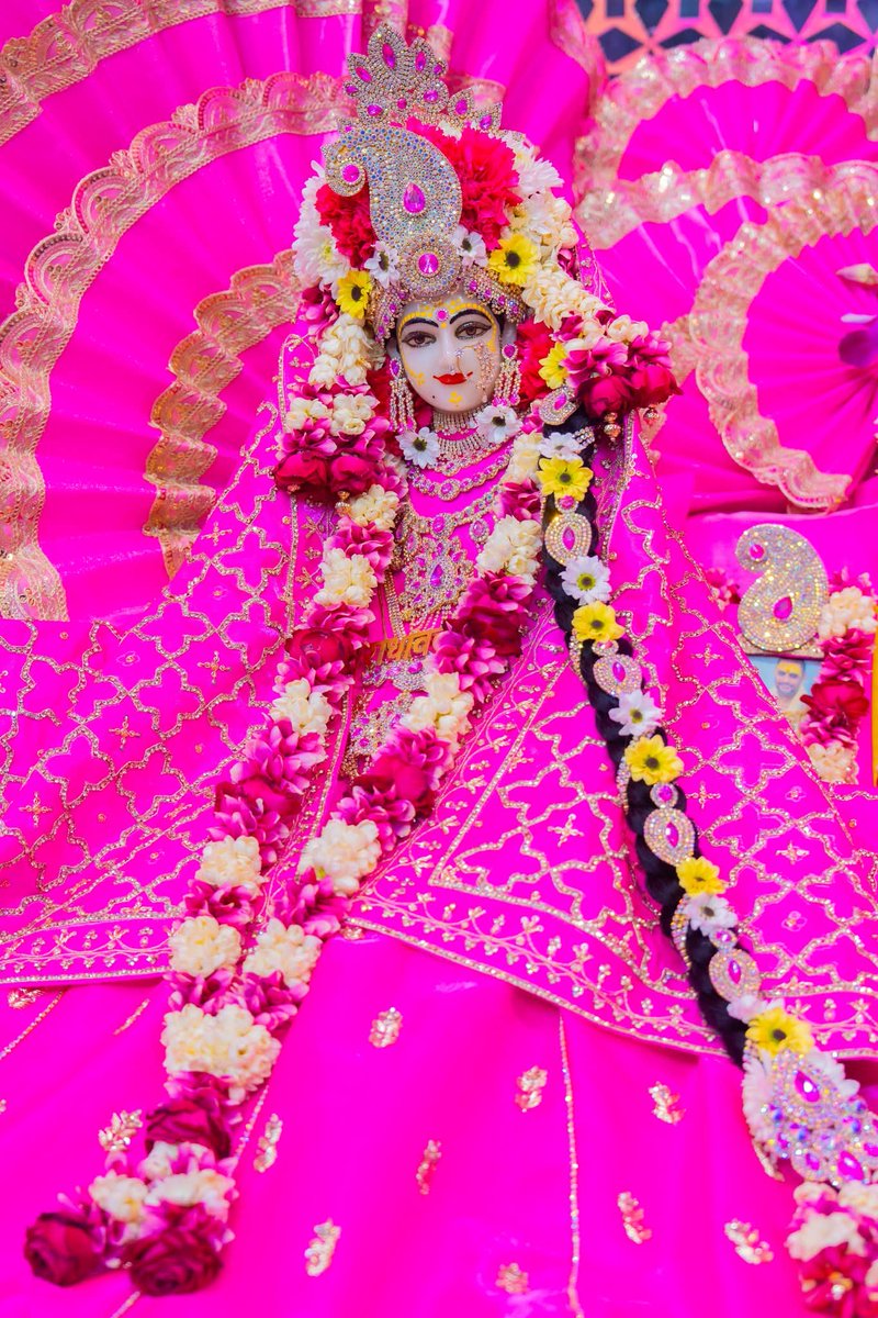 Radhika Ras 🪷 tweet media