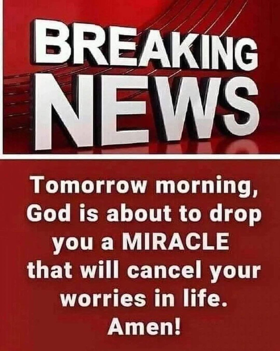 ProgressCode🌺 tweet media