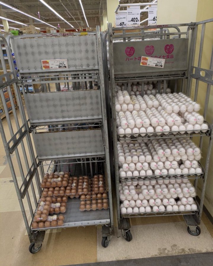 メ ー に ゃ｜劇的勝利🏆 tweet media